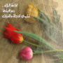 Al-Bilad-Rose9
